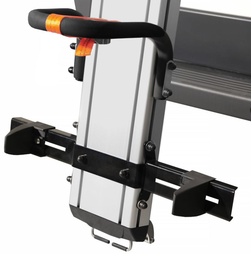 double ladder lift rack mount