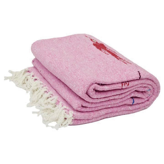 Pink Baja Thunderbird Blanket