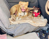 Two dogs using TNTvans pet dog seat extension for van seating.