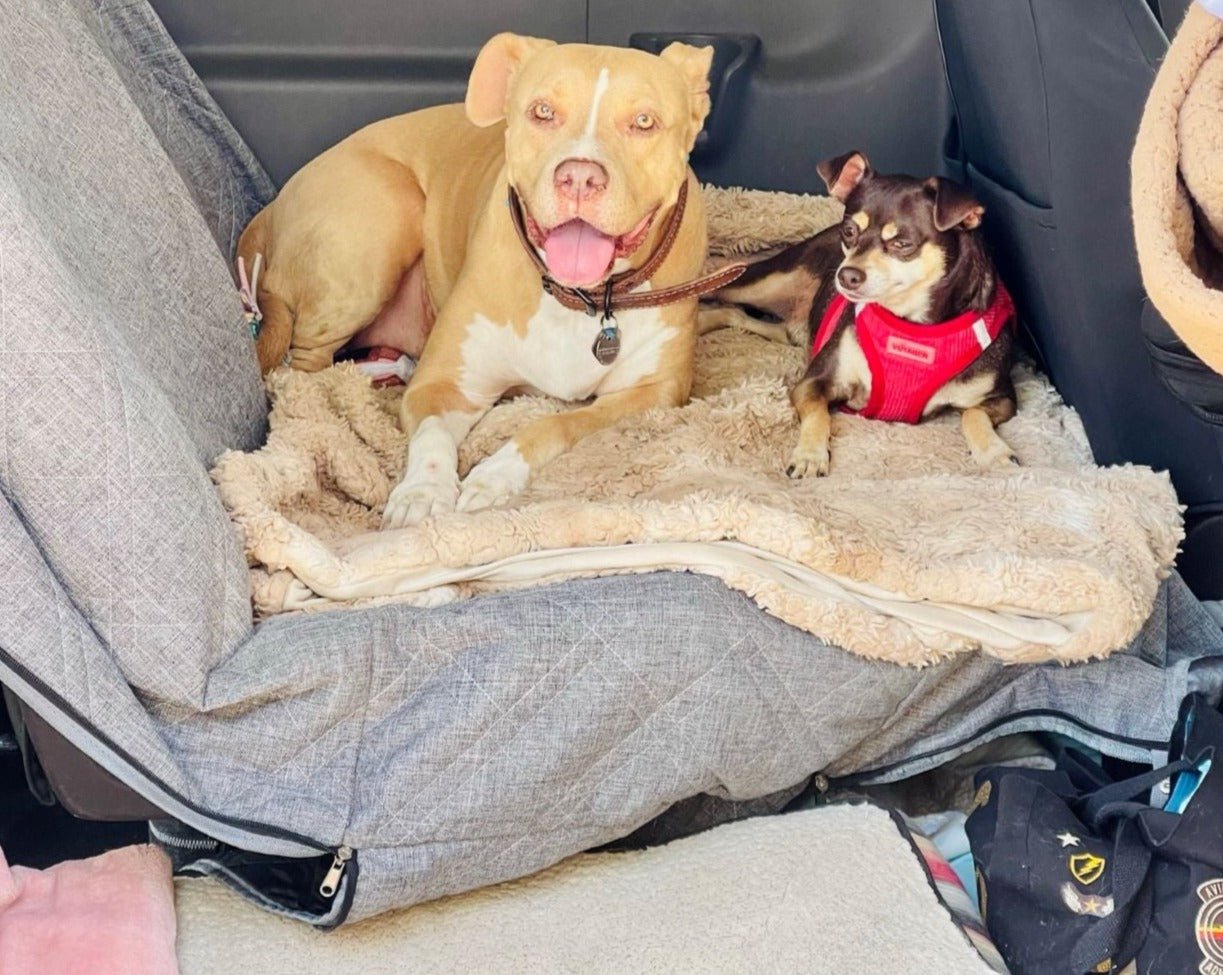 Two dogs using TNTvans pet dog seat extension for van seating.